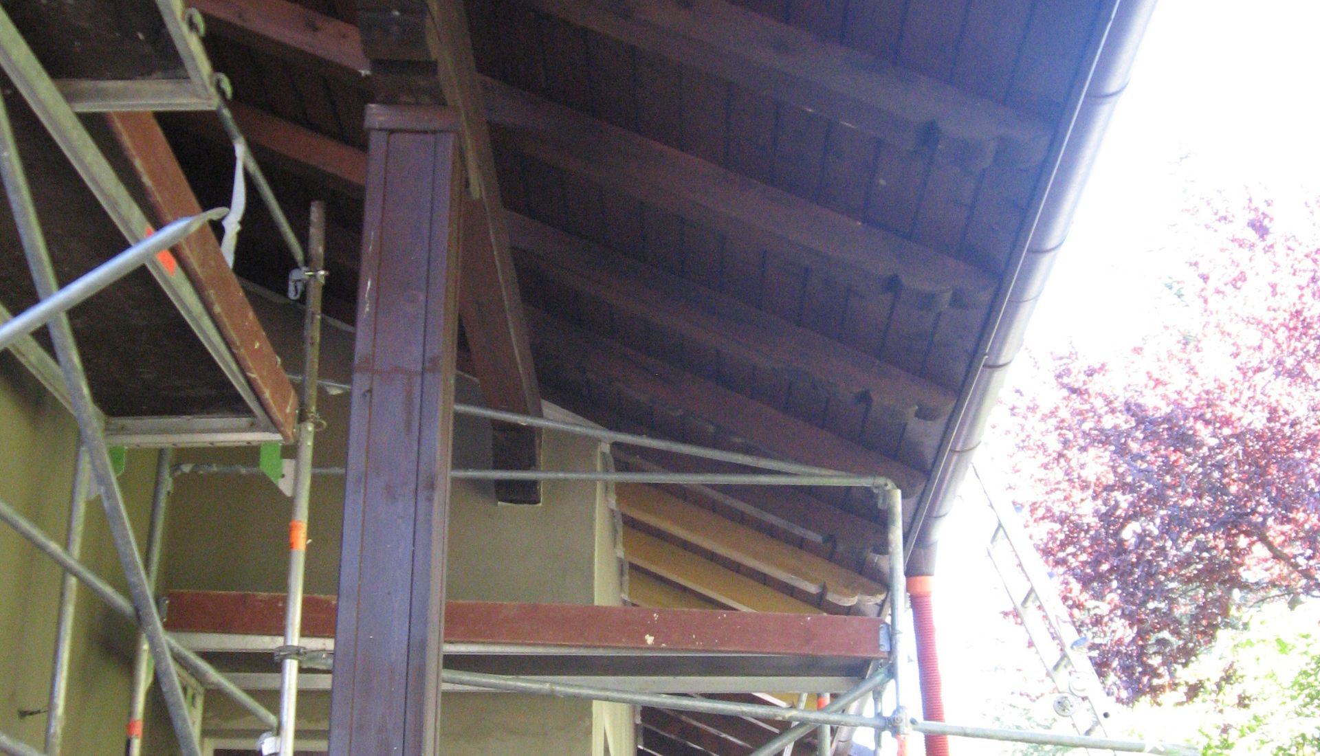 dimap trattamento legno.jpg